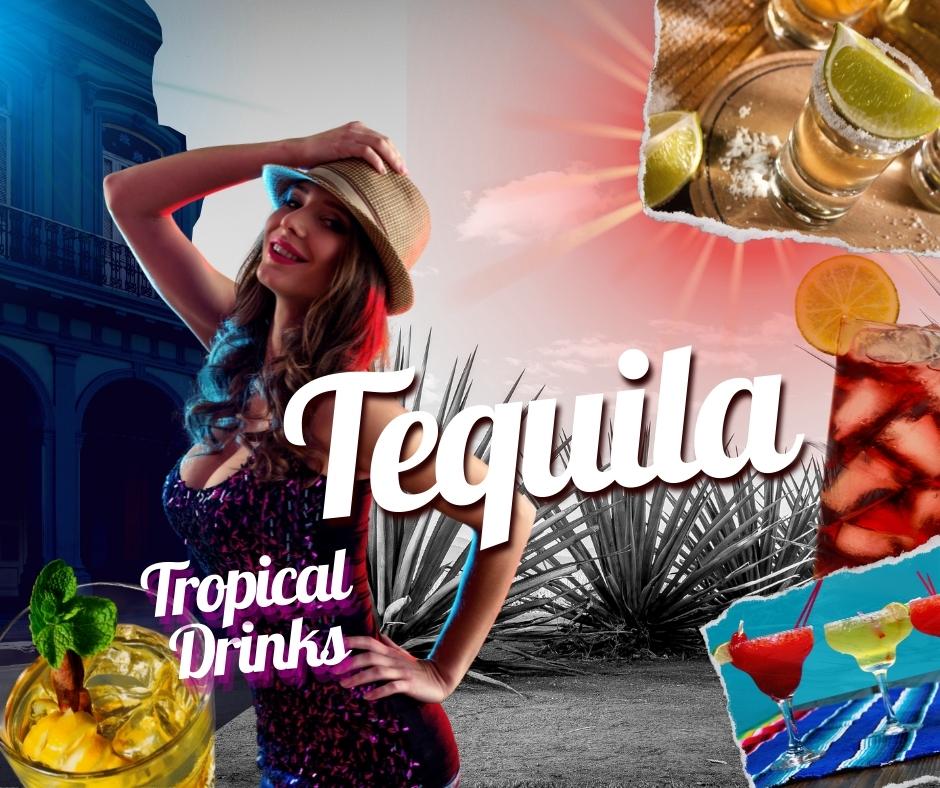 TEQUILA: flüssiges Gold aus Mexiko